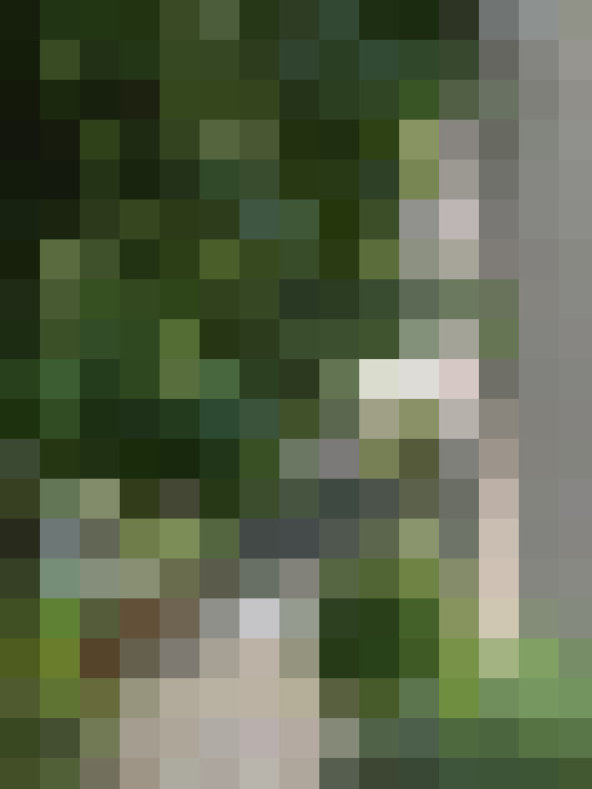  / #18