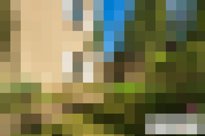  / #13