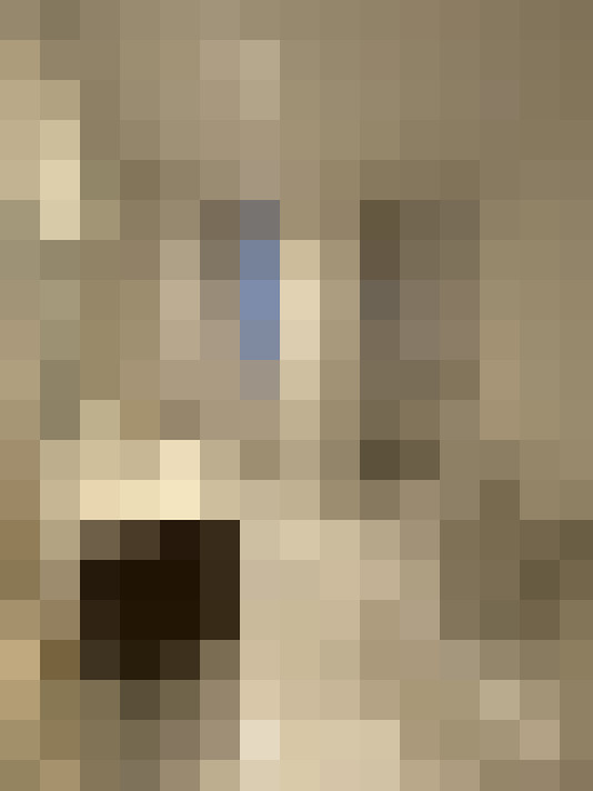  / #17