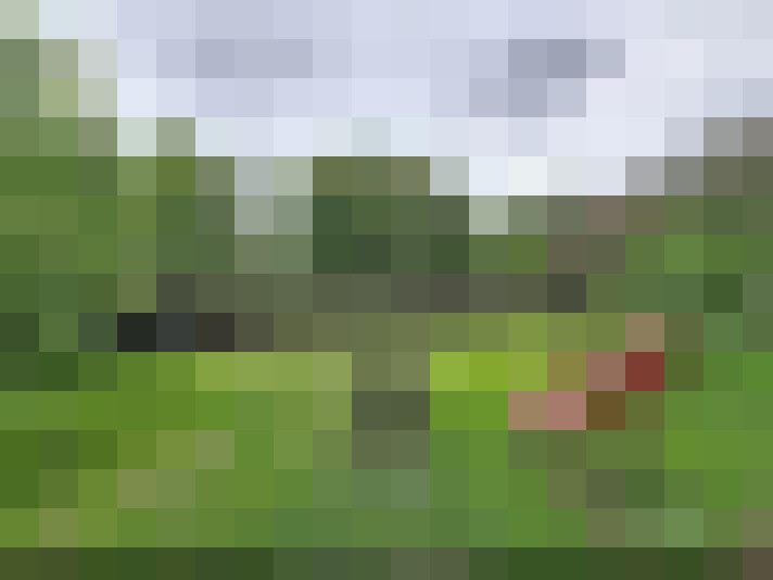  / #7
