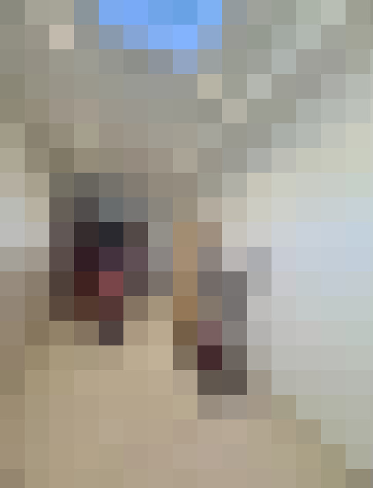  / #17