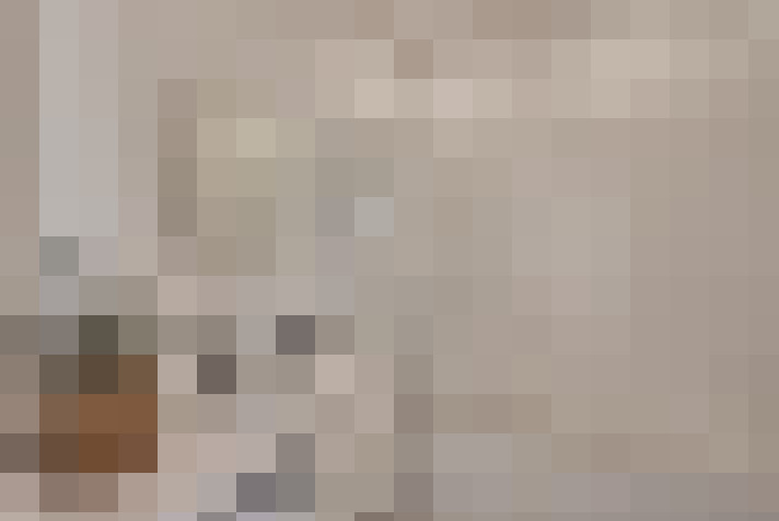  / #24