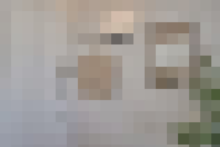  / #11