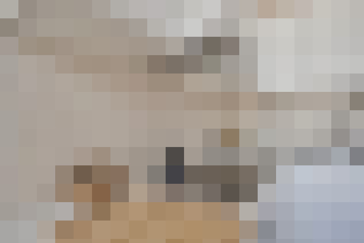  / #19