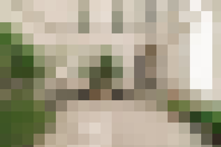  / #22