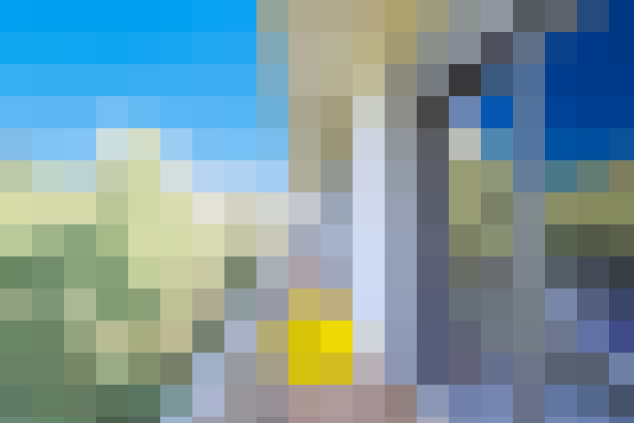  / #14