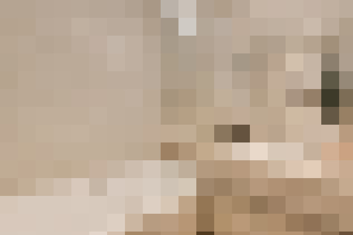  / #22
