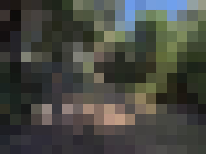  / #13