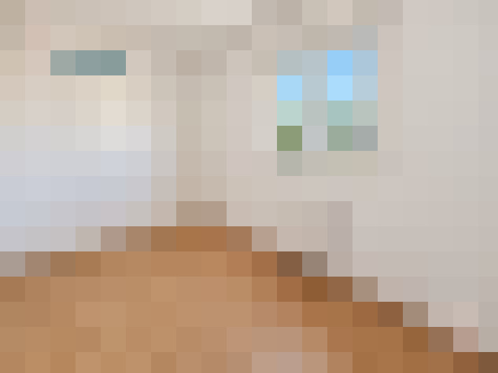  / #15