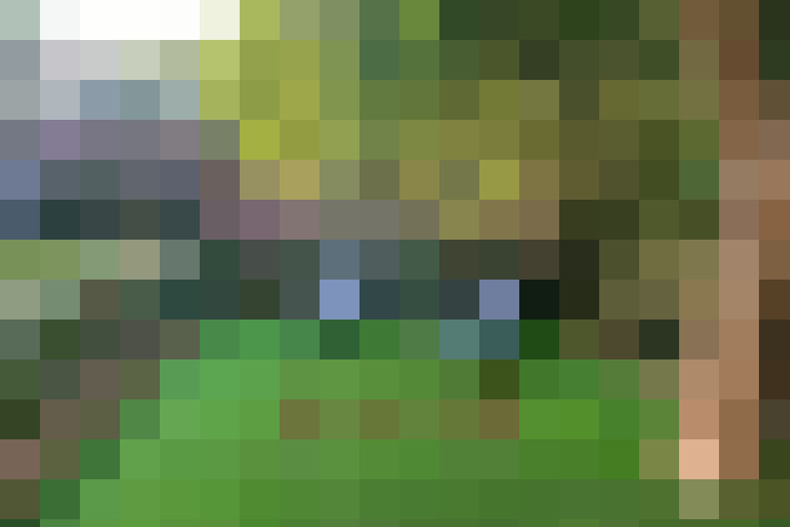  / #14