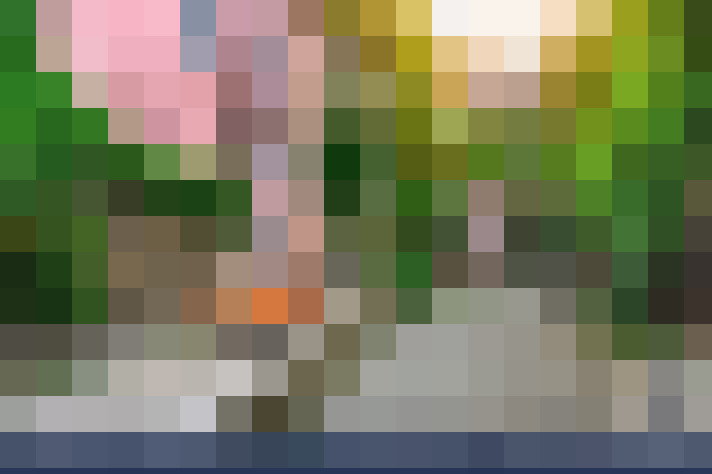  / #17