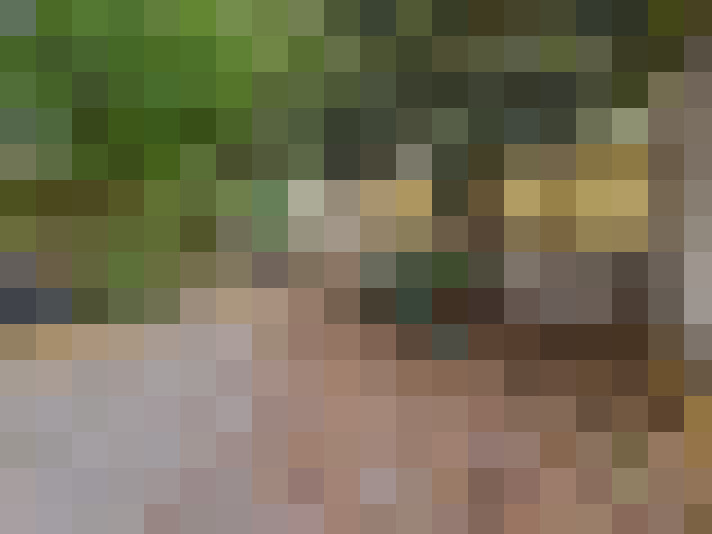  / #17