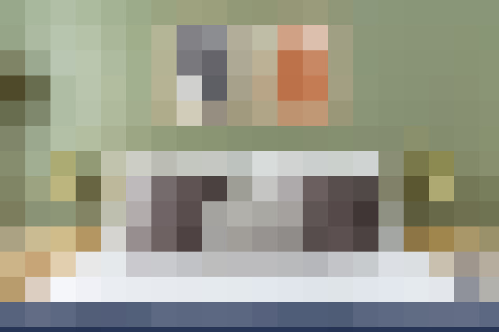  / #19