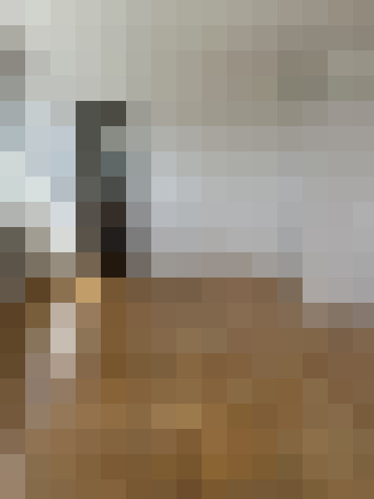  / #17