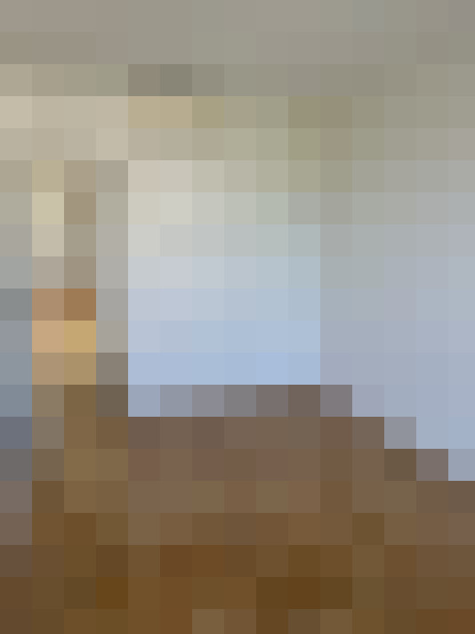  / #20