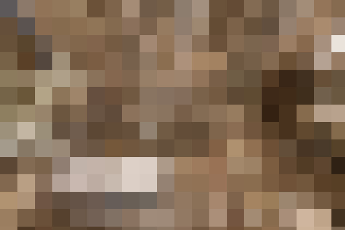  / #17