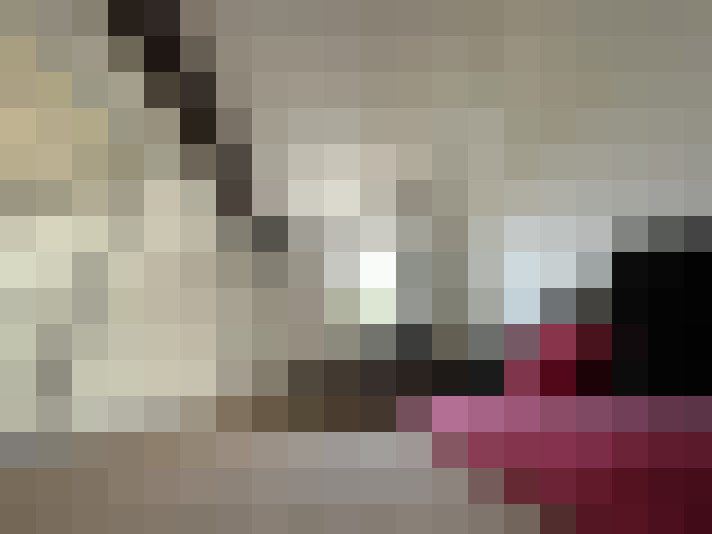  / #14