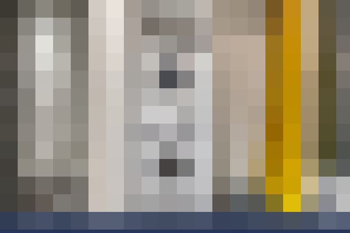  / #15