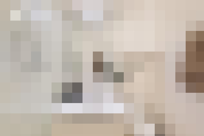  / #19