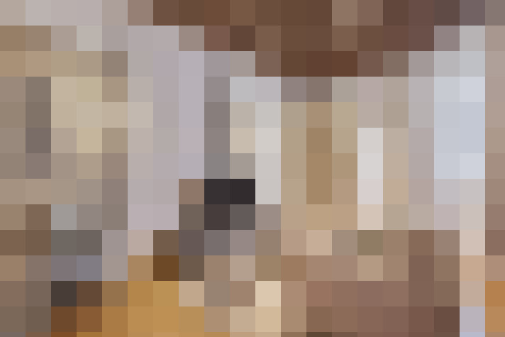 / #15