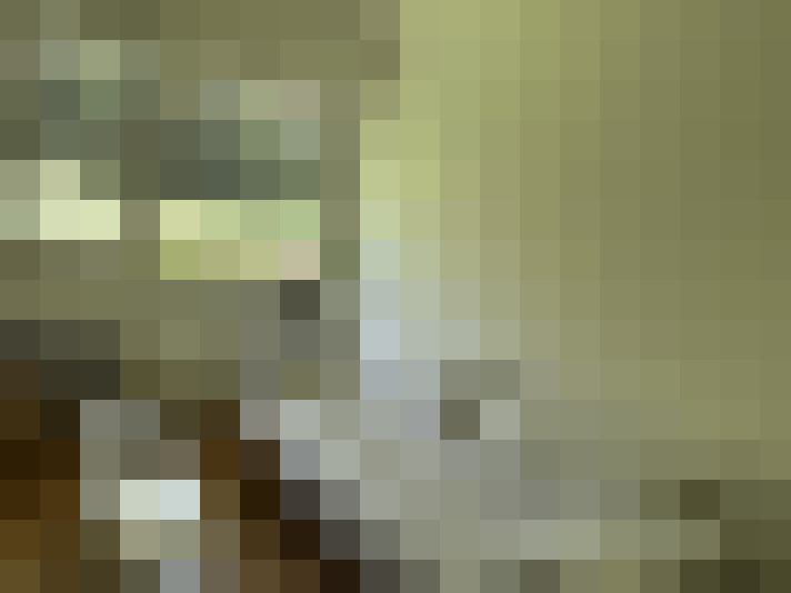  / #8