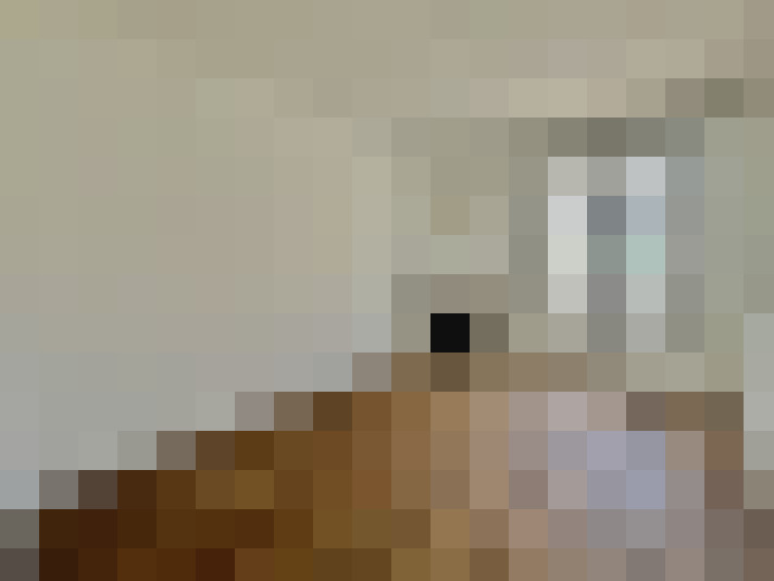  / #6