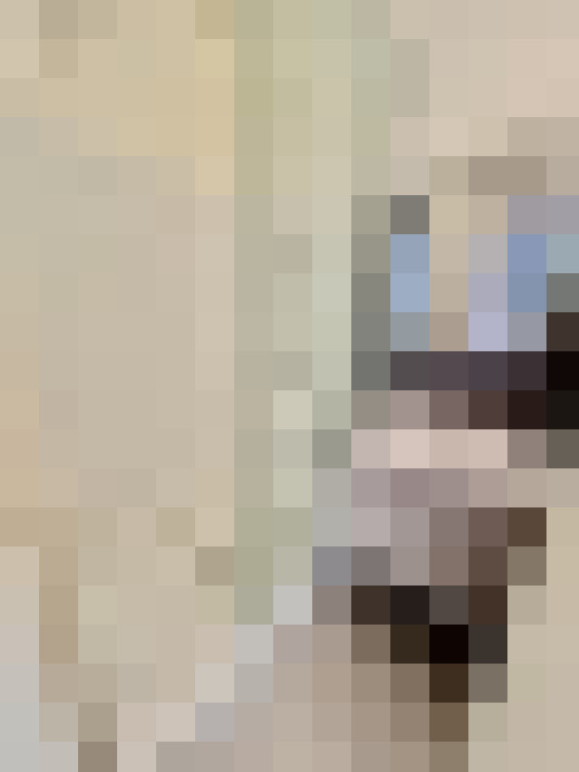  / #25