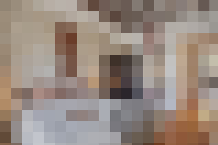 / #21