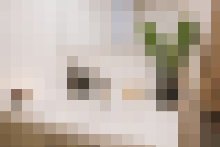 / #18