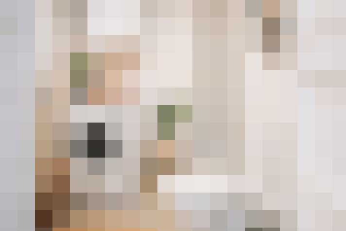  / #20