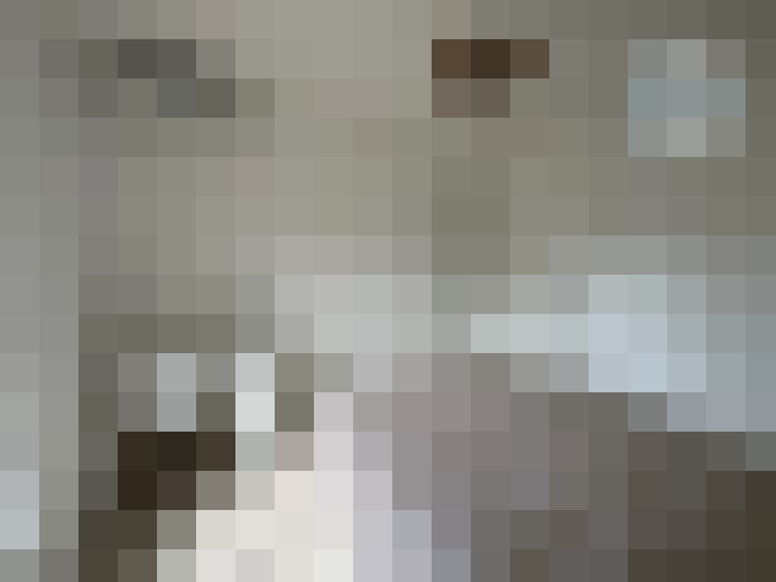  / #31