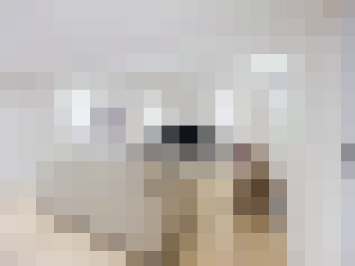  / #20