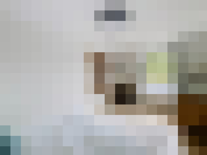  / #17