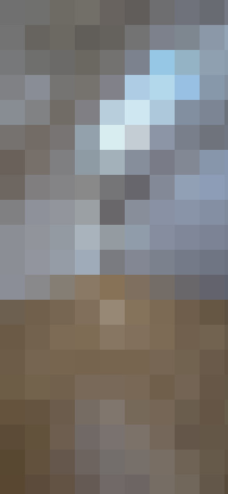  / #14