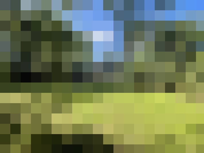  / #7