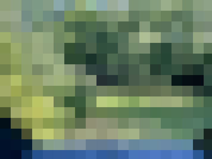  / #15