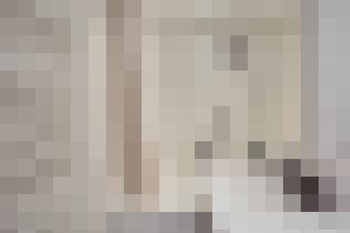  / #24