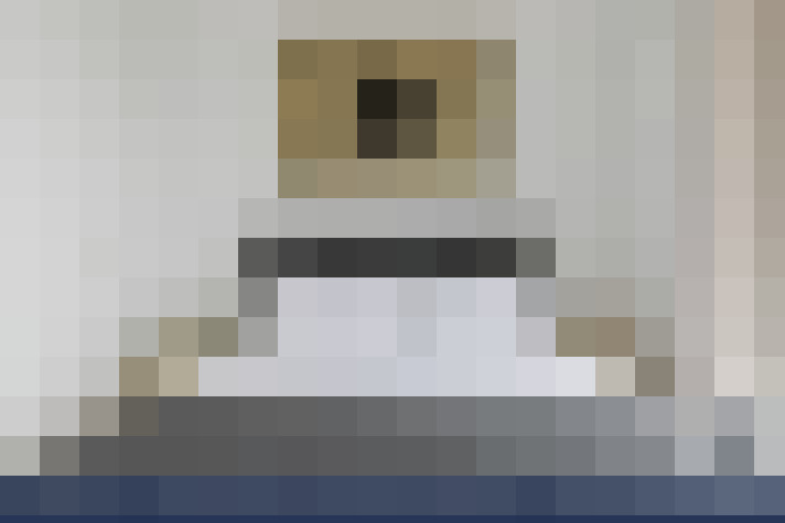  / #17