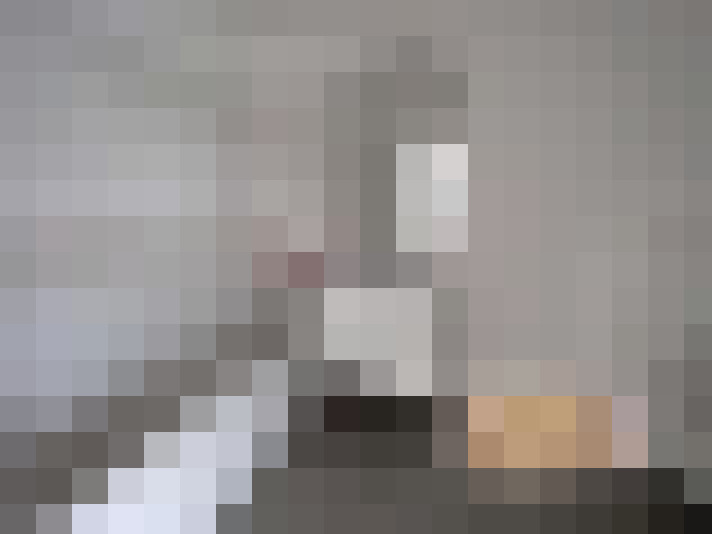  / #19