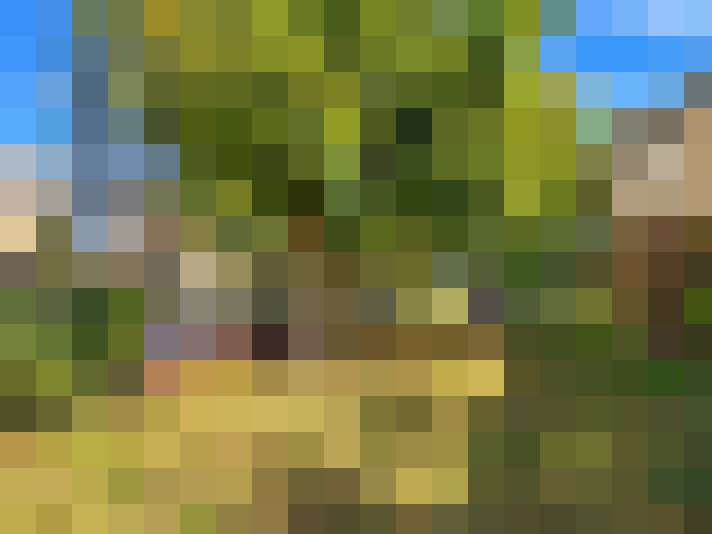  / #14