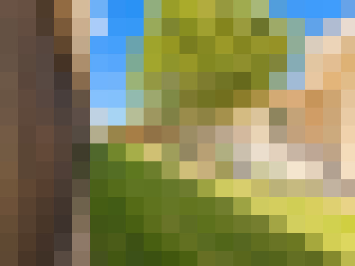  / #12