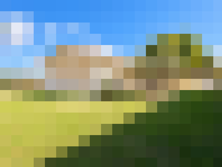  / #13