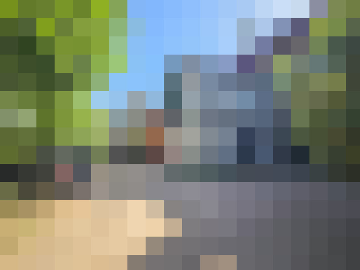  / #17