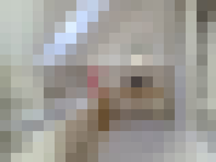  / #11