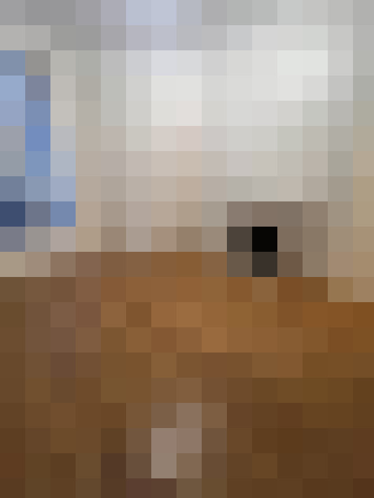  / #16
