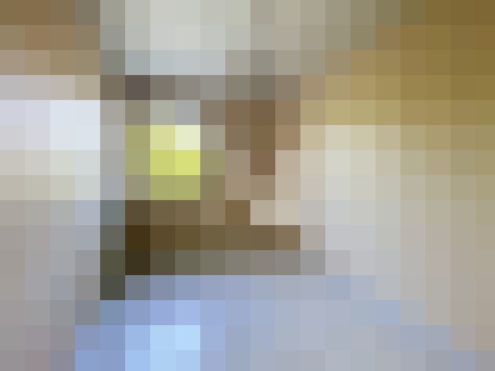  / #15