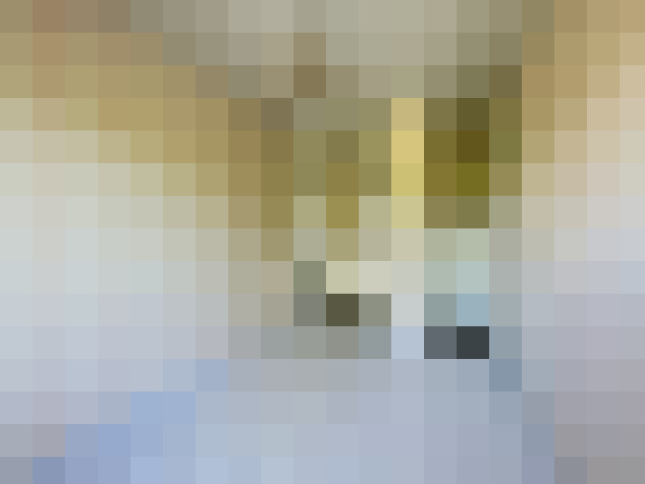  / #17