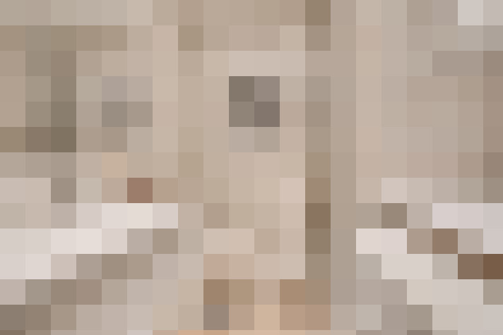  / #19