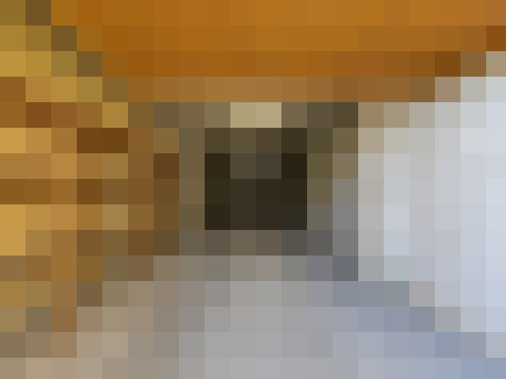  / #16