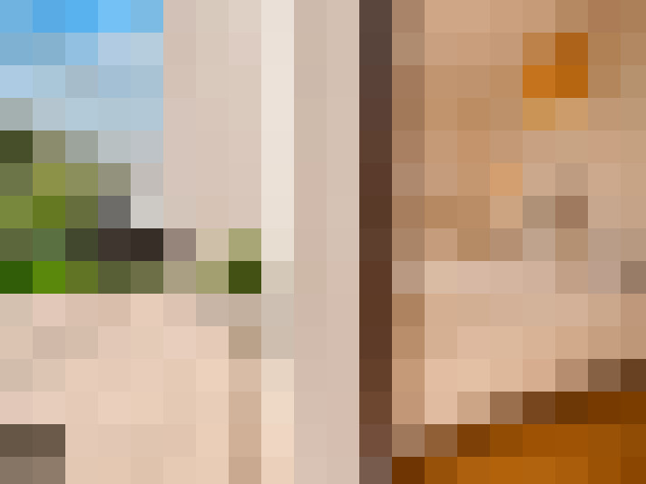  / #15